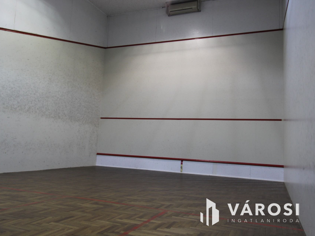 Békéscsabai paradicsom