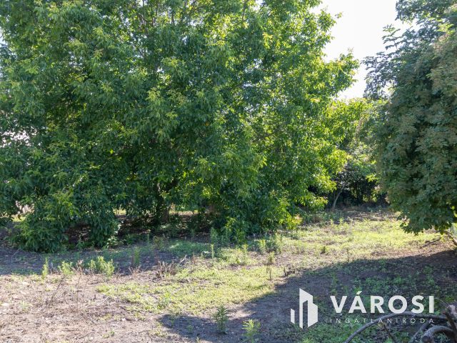 Felújítandó/ bontandó ház Jaminában