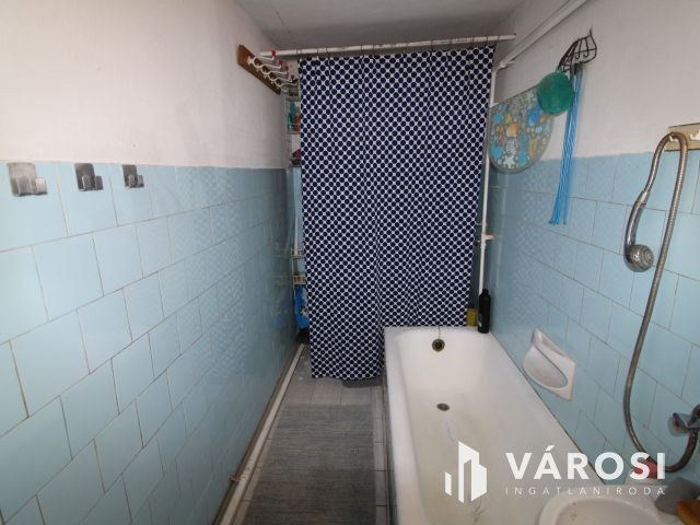 Szanazughoz közeli tanya eladó.