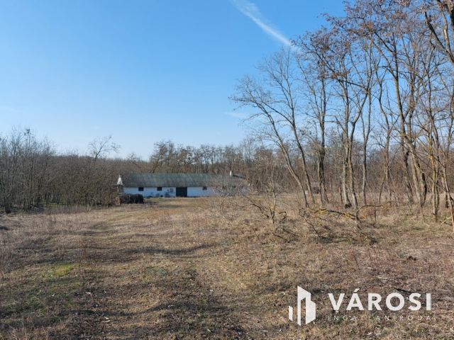 16 hektáros, sokoldalúan hasznosítható terület eladó