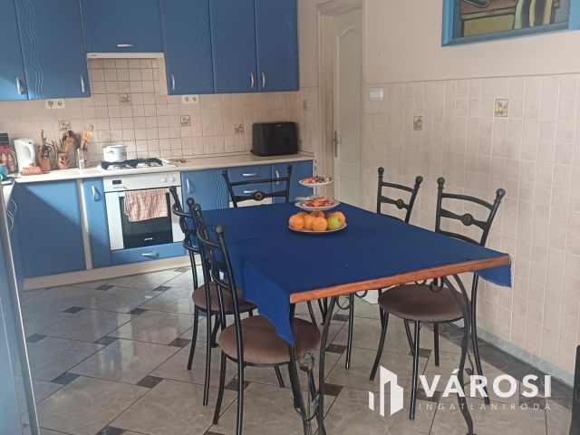 Debrecen-Józsán 3 szoba nappalis Amerikai típusú ház eladó!