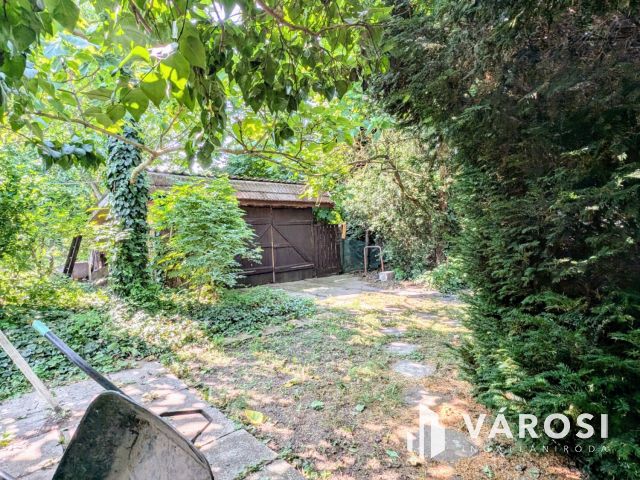 Családi ház gyönyörű kerttel!