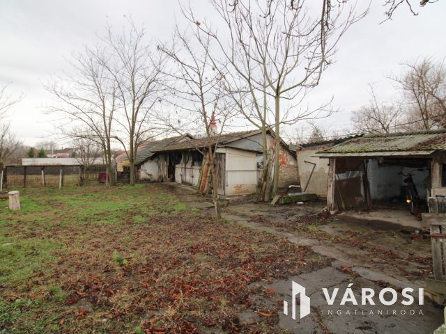 3 szobás ház, garázs és nagy telek.